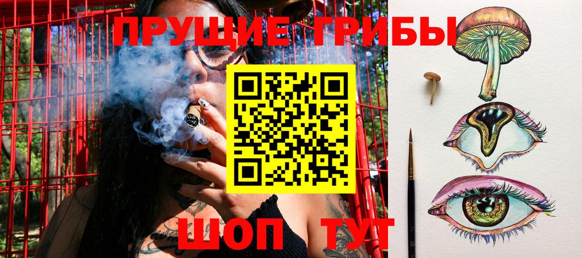 Псилоцибиновые грибы GOLDEN TEACHER  Вход с VPN  Белово 
