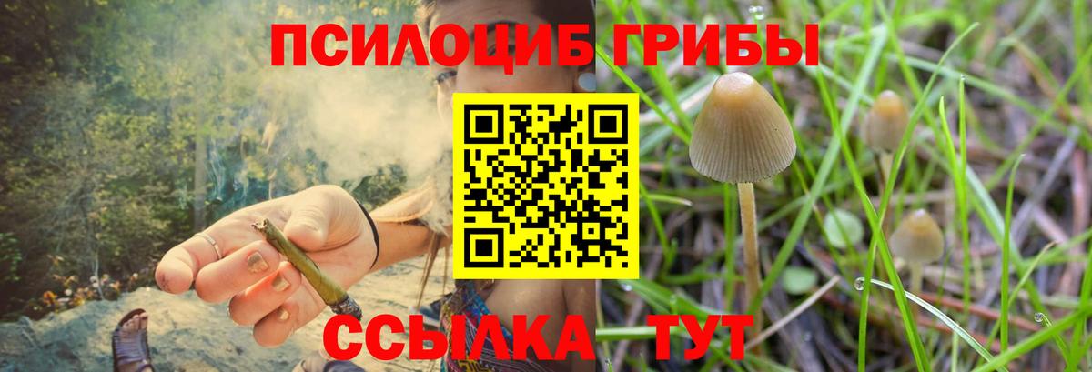 Псилоцибиновые грибы GOLDEN TEACHER Белово